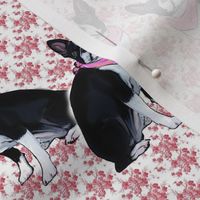 Boston Terrier Pink