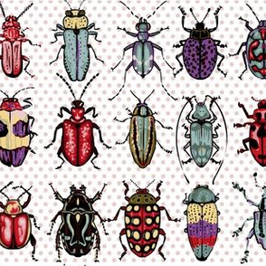 Beetles - natural colors