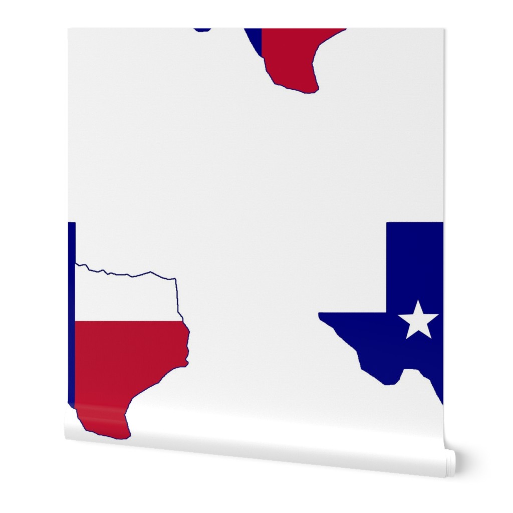 Texas Flag Map