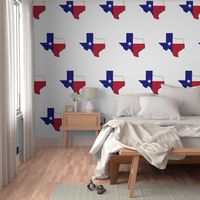 Texas Flag Map