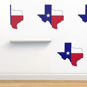 Texas Flag Map