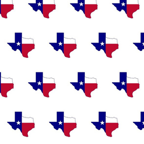 Texas Flag Map