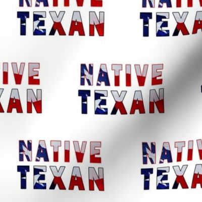 Native Texan Text Flag