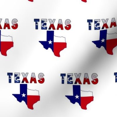 Texas Text Flag Map