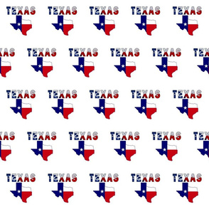 Texas Text Flag Map