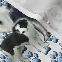 border_collie_mother_and_pup_fabric