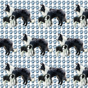border_collie_mother_and_pup_fabric