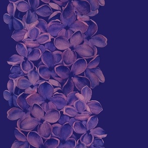 Lilac Border