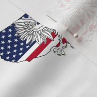 Polish American Eagle Map