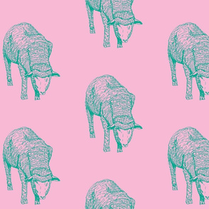 sheep2pinkandgreen