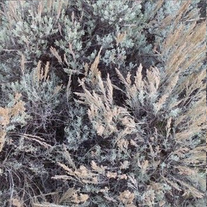 Sagebrush camo