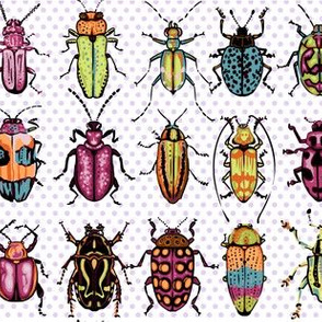 Beetles - magenta lime orange