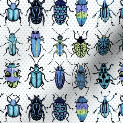 Beetles - blue green