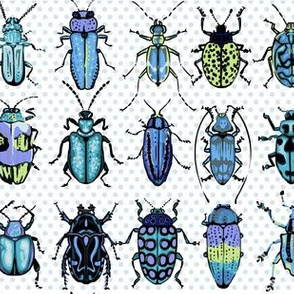 Beetles - blue green