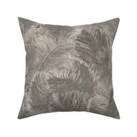 Ostrich Feather - large grey