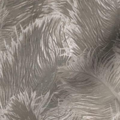 Ostrich Feather - large grey