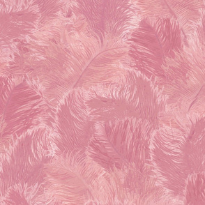 Ostrich Feather - large_rose