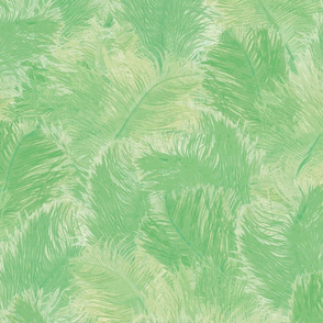 Ostrich Feather - large jade