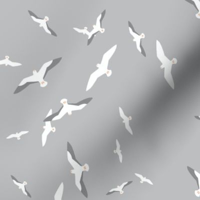 Flying Seagulls in Grey