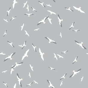 Flying Seagulls in Grey