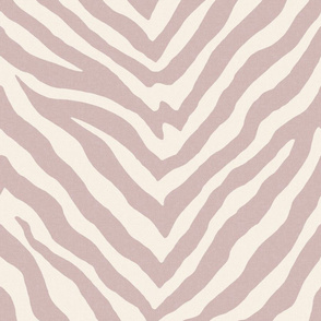 Zebra in Lavender Fields