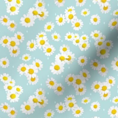 Daisies on aqua