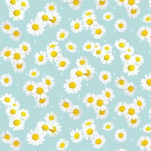 Daisies on aqua