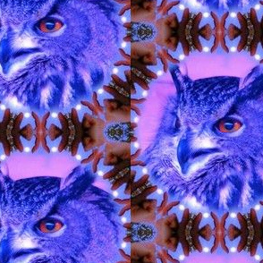 Owl of the Irish Moon