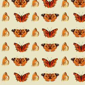 ButterflyFabric1
