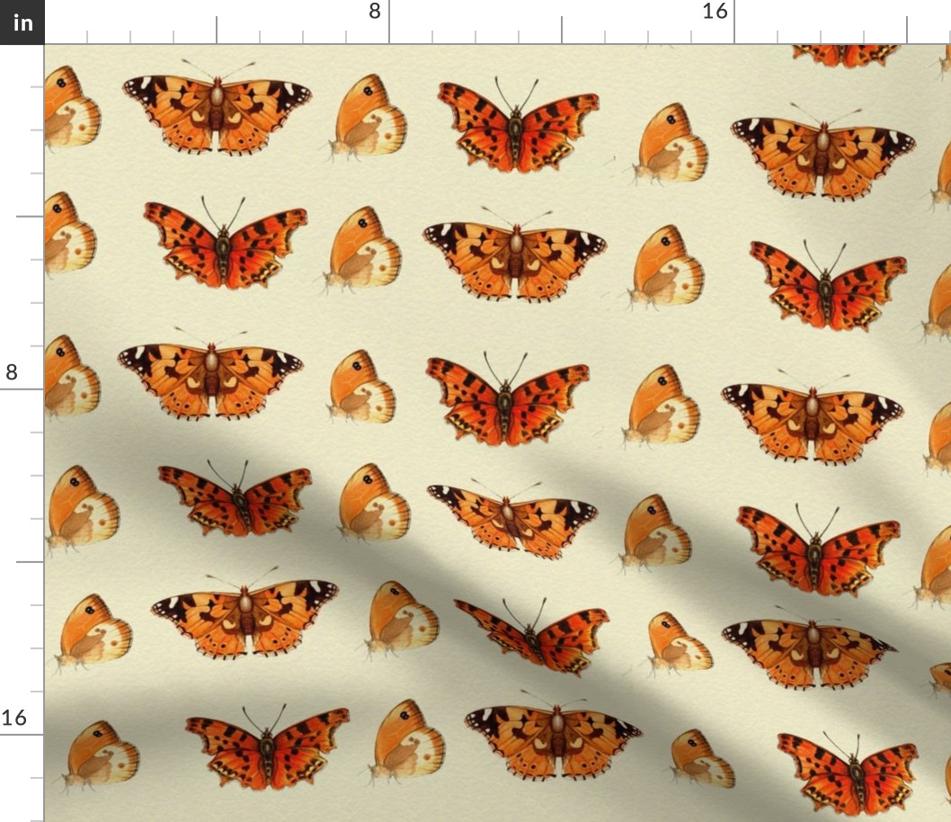 ButterflyFabric1