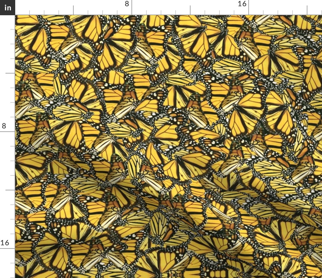 Yellow Monarch