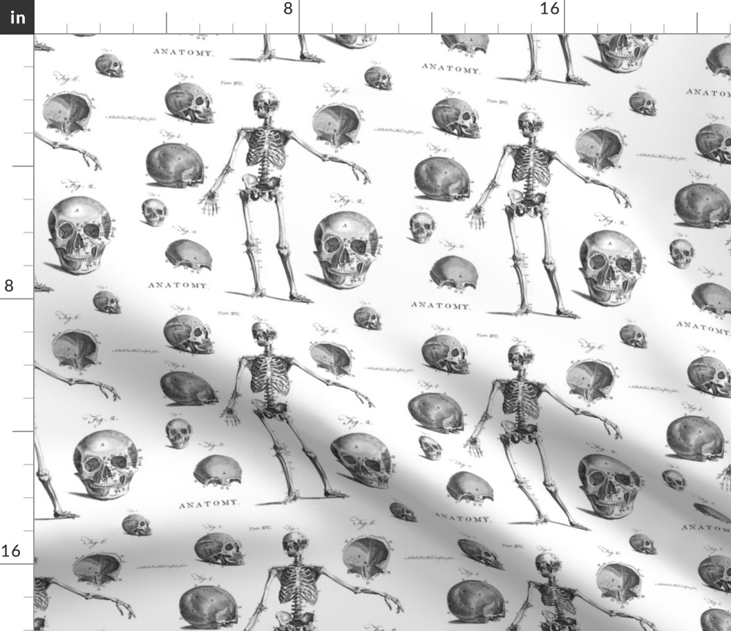 Antique Gothic  Skeleton Anatomy Fabric for Halloween Decor
