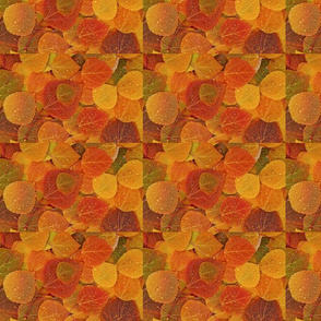 fallleaves basic 8x5