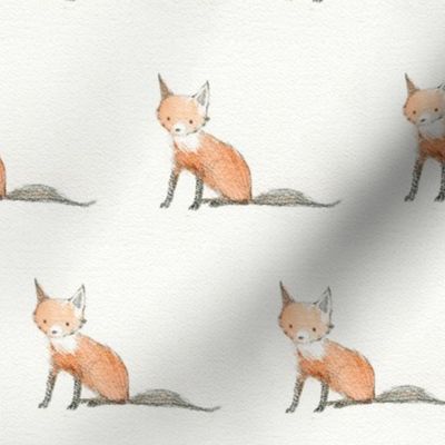 baby fox 