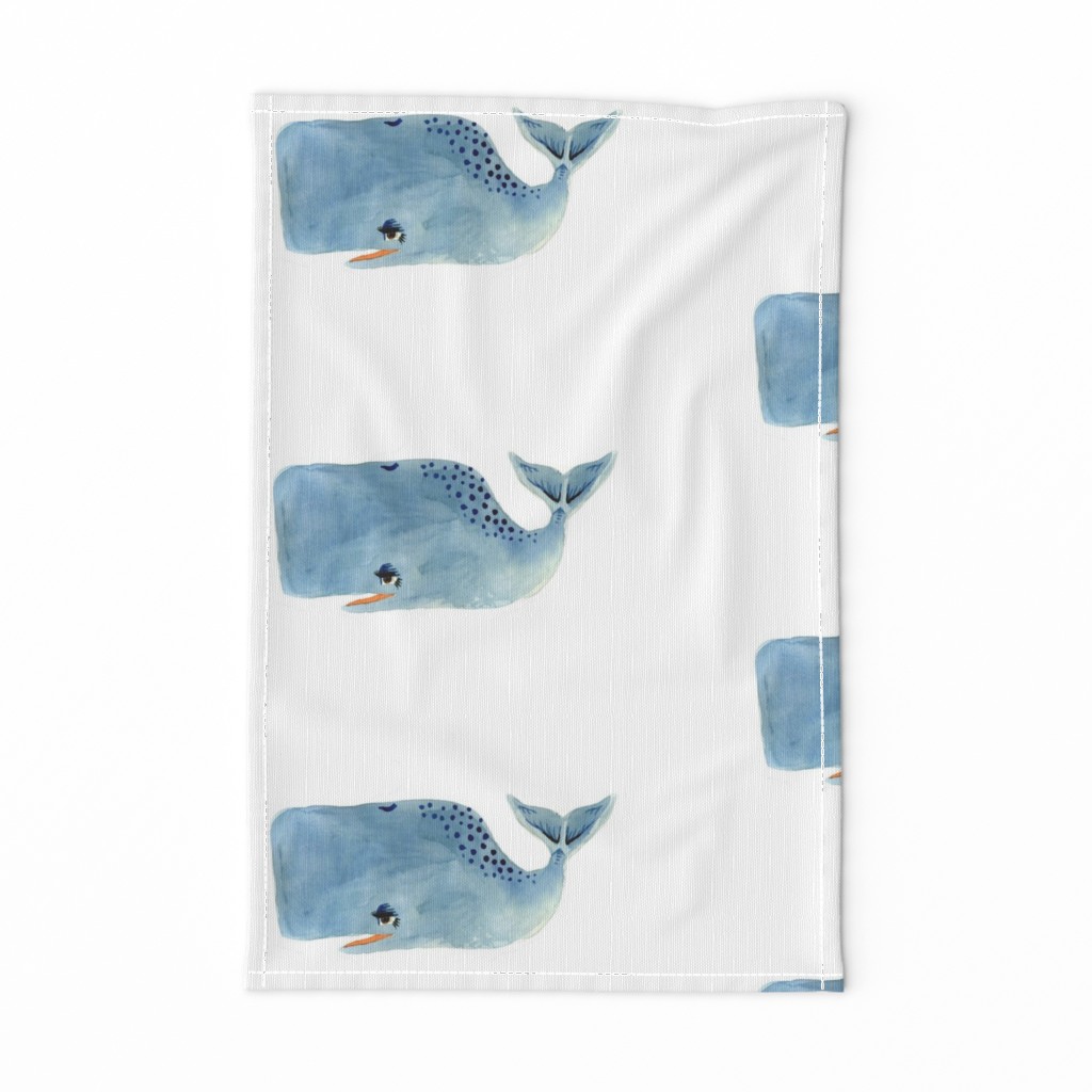 Blue Whale on White Background