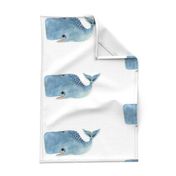 Blue Whale on White Background