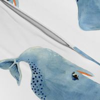 Blue Whale on White Background