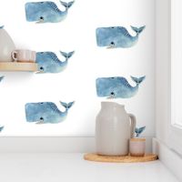 Blue Whale on White Background