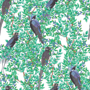 Birds in Trees (large scale)