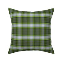 Cedar Berries Plaid