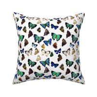 Vintage Green and Blue Butterflies