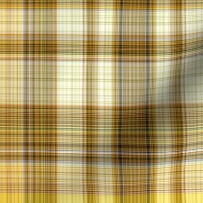 The Plaid with the Yellow Line