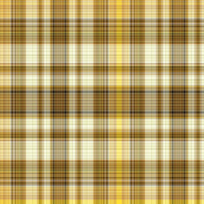 The Plaid with the Yellow Line