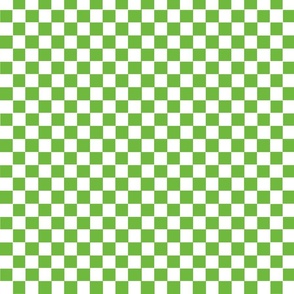 gingham_green_white