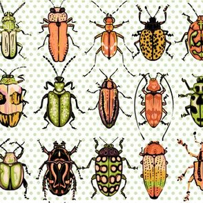 Beetles - orange green