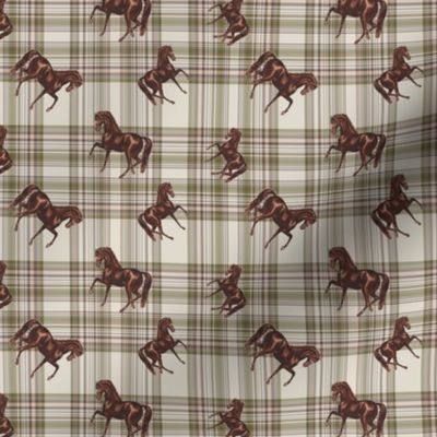 The 50's Plaid Horse