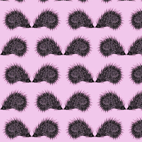 Prickly In Pink