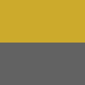 Gray and Gold XL Stripes