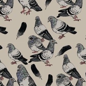 Pigeons