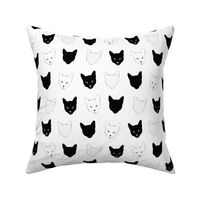 Cat Pattern